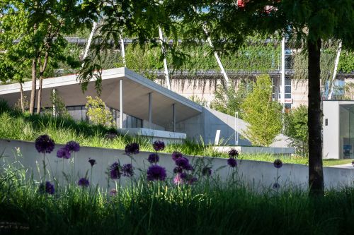 MILLENÁRIS SZÉLLKAPU PARK 